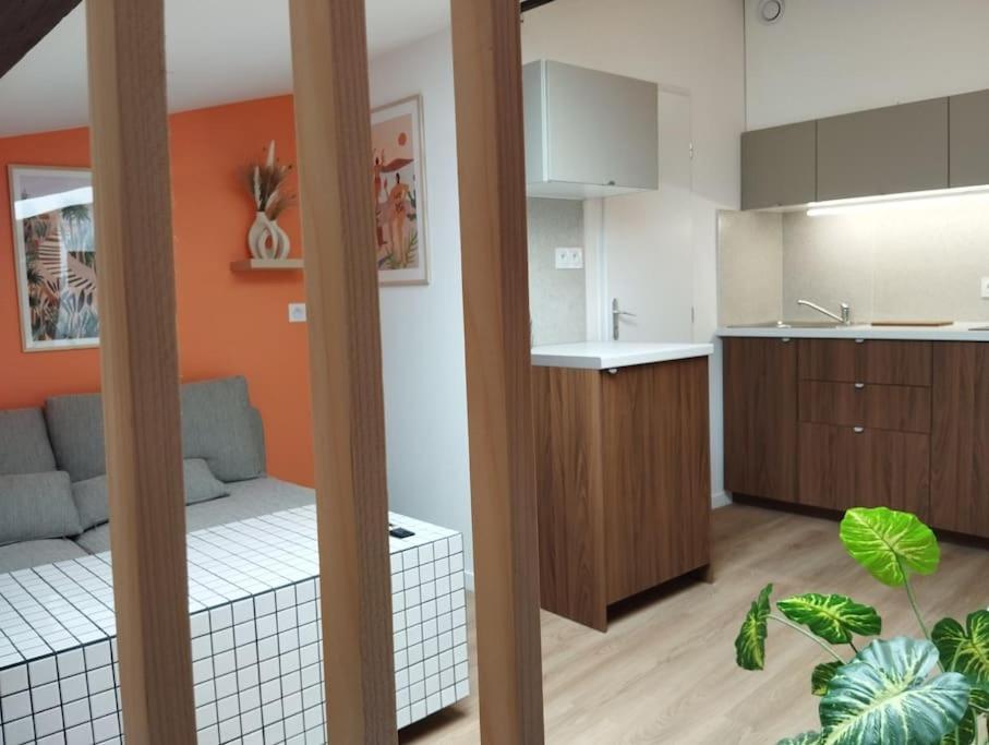 Le Nid Douillet De L'Hypercentre Apartment Toulouse Exterior photo
